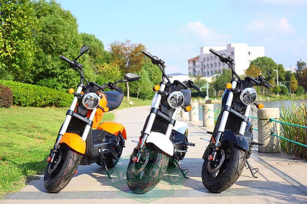 Электроскутер CityCoco Woqu Bike Электроскутер CityCoco Woqu Bike