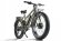 Электрофэтбайк для бездорожья VOLTECO BIGCAT DUAL NEW 2020 Электрофэтбайк для бездорожья VOLTECO BIGCAT DUAL NEW 2020