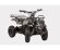 Электроквадроцикл Мини Барс 800 RC Чёрная Молния