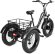 Электровелосипед трицикл ECO-BIKE GRIZZLY M5 20 700W 48V12AH