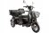 Rutrike S2 L1