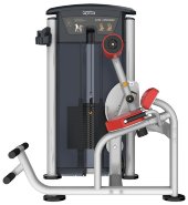Aerofit IT9532 Разгибание спины Aerofit IT9532 Разгибание спины