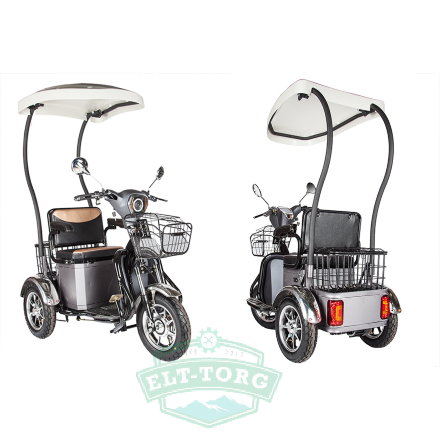 Пассажирский электроцикл Rutrike S1 V2, с крышей Пассажирский электроцикл Rutrike S1 V2, с крышей