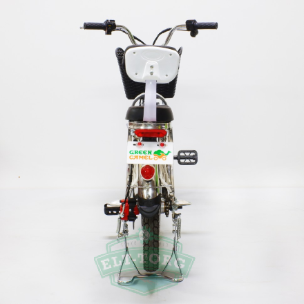 Электробайк GreenCamel Транк-18-60 (R18 350W 60V) Алюм