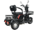 Электротрицикл White Siberia SIBTRIKE 2000W Электротрицикл White Siberia SIBTRIKE 2000W
