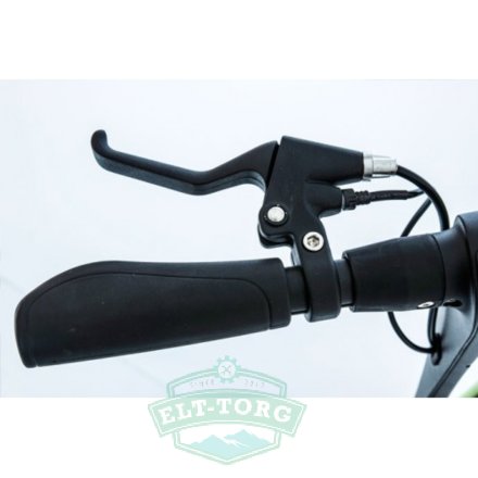 Inmotion L6 350W (чёрный) Inmotion L6 350W (чёрный)