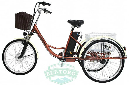 Электровелосипед GreenCamel Трайк-24 (R24 500W 48V 15Ah) Электровелосипед GreenCamel Трайк-24 (R24 500W 48V 15Ah)