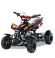 Квадроцикл Motax ATV H4 mini-50 cc Квадроцикл Motax ATV H4 mini-50 cc