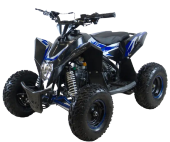 Квадроцикл Motax Gekkon 70 cc 1+1 (Реверс) Квадроцикл Motax Gekkon 70 cc 1+1 (Реверс)