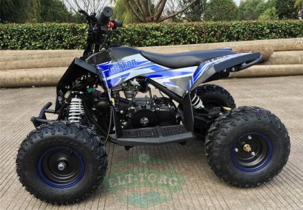Квадроцикл Motax Gekkon 70 cc 1+1 (Реверс) Квадроцикл Motax Gekkon 70 cc 1+1 (Реверс)
