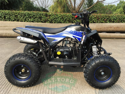 Квадроцикл Motax Gekkon 70 cc 1+1 (Реверс) Квадроцикл Motax Gekkon 70 cc 1+1 (Реверс)