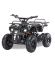 Электроквадроцикл MOTAX ATV Х-16 800W