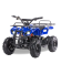 Электроквадроцикл MOTAX ATV Х-16 800W