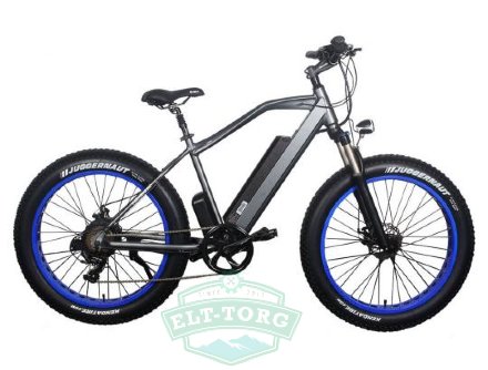 Электровелосипед El-Sport bike TDE-08 500W