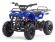 Электроквадроцикл MOTAX Mini Grizlik X-16 1000W Электроквадроцикл MOTAX Mini Grizlik X-16 1000W