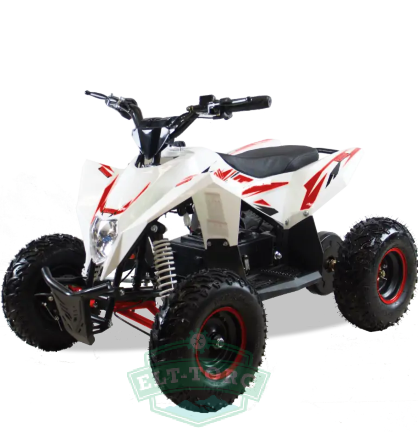 Электроквадроцикл Motax GEKKON 1300W