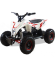 Электроквадроцикл Motax GEKKON 1300W