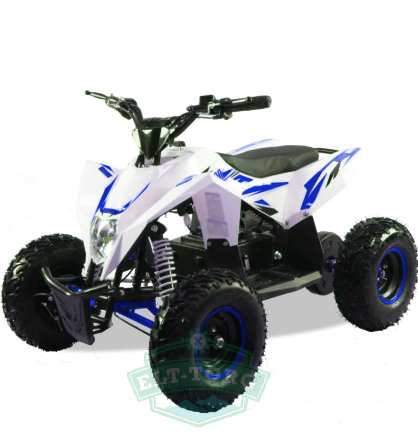 Электроквадроцикл Motax GEKKON 1300W
