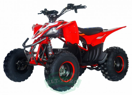 Электроквадроцикл MOTAX E-PENTORA 1500W 