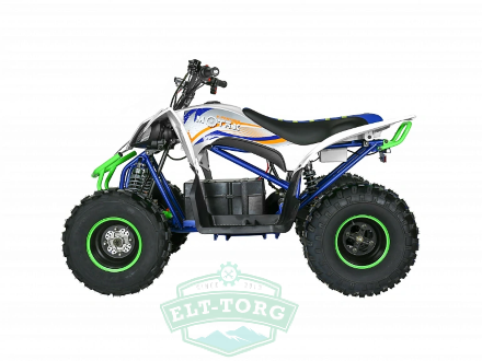 Электроквадроцикл MOTAX E-PENTORA 1500W 