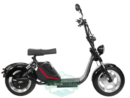 Электроскутер Citycoco SkyBoard BR70-2WD Электроскутер Citycoco SkyBoard BR70-2WD