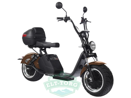 Электроскутер Citycoco SkyBoard BR70-2WD Электроскутер Citycoco SkyBoard BR70-2WD