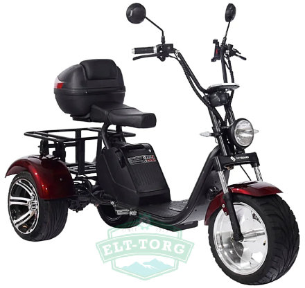 Электроскутер CityCoco SkyBoard Trike BR80