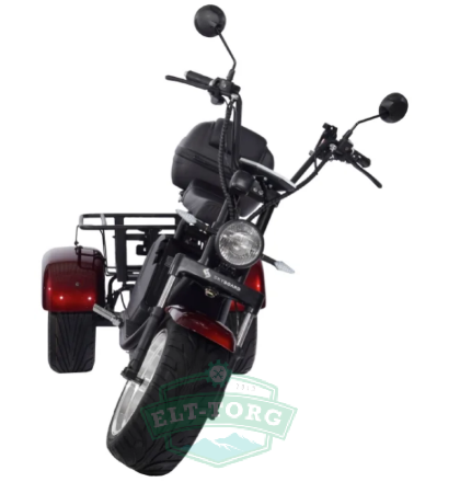 Электроскутер CityCoco SkyBoard Trike BR80