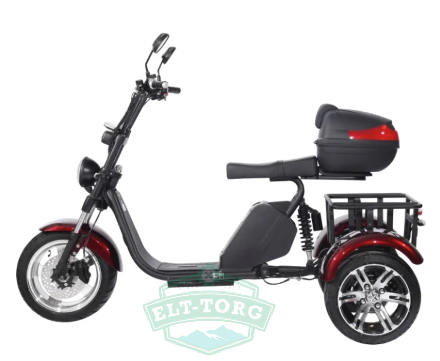Электроскутер CityCoco SkyBoard Trike BR80