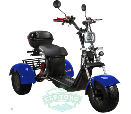 Электроскутер CityCoco SkyBoard Trike BR40-3000 Электроскутер CityCoco SkyBoard Trike BR40-3000