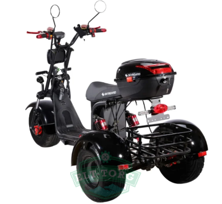 Электроскутер CityCoco SkyBoard Trike BR40-3000 Электроскутер CityCoco SkyBoard Trike BR40-3000