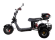 Электроскутер CityCoco SkyBoard Trike BR40-3000 Электроскутер CityCoco SkyBoard Trike BR40-3000