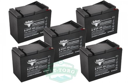 Комплект тяговых гелевых аккумуляторов RuTrike 6-EVF-55 (60V55A/H C3)