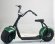 EL-Sport Classic Citycoco 1000W (60V/12Ah) зелёный EL-Sport Classic Citycoco 1000W (60V/12Ah) зелёный