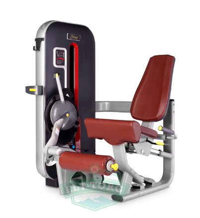 BRONZE GYM MT-014 Разгибание ног сидя (КОРИЧНЕВЫЙ) BRONZE GYM MT-014 Разгибание ног сидя (КОРИЧНЕВЫЙ)
