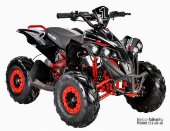 Электроквадроцикл WHITE SIBERIA SNEG R 1500W Электроквадроцикл WHITE SIBERIA SNEG R 1500W