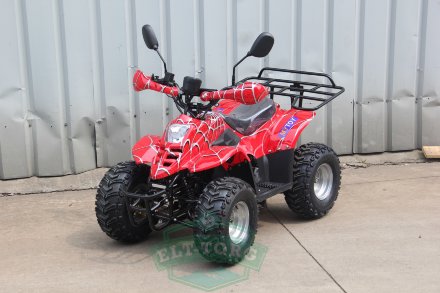 Электроквадроцикл MYTOY 1000E 1000 W Красный паук Электроквадроцикл MYTOY 1000E 1000 W Красный паук