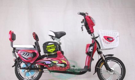 Электровелосипед двухместный E-Toro Les Dacha 350W