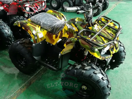 Квадроцикл GreenCamel Атакама T120 (48V 800W R8 Цепной привод) Квадроцикл GreenCamel Атакама T120 (48V 800W R8 Цепной привод)