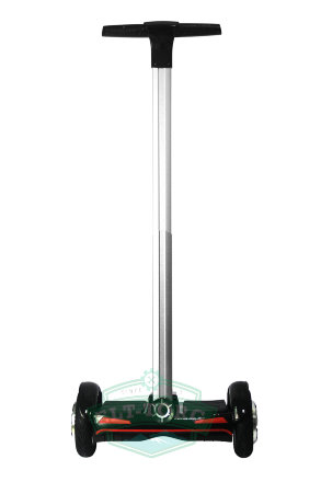 Сигвей Smart Zooter Black 700W
