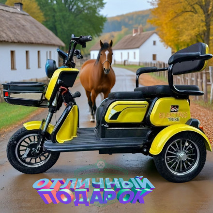 Электроскутер Electrotrike Sibtrike Бумеранг 2000W Электроскутер Electrotrike Sibtrike Бумеранг 2000W