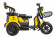 Электротрицикл Rutrike Бумеранг 1
