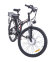 Электровелосипед Wellness Cross Dual 1000w Электровелосипед Wellness Cross Dual 1000w
