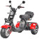 Трехколесный электроскутер Citycoco WS-PRO+ TRIKE 3000W Трехколесный электроскутер Citycoco WS-PRO+ TRIKE 3000W