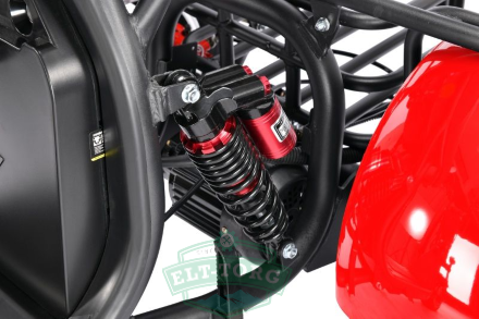 Трехколесный электроскутер Citycoco WS-PRO+ TRIKE 3000W Трехколесный электроскутер Citycoco WS-PRO+ TRIKE 3000W