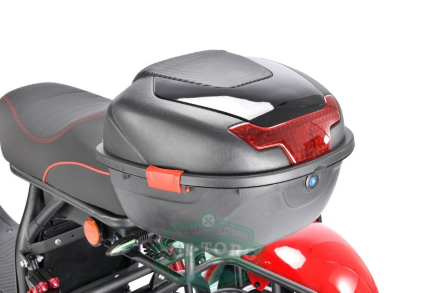 Трехколесный электроскутер Citycoco WS-PRO+ TRIKE 3000W Трехколесный электроскутер Citycoco WS-PRO+ TRIKE 3000W