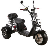 Электроскутер трехколесный CityCoco SkyBoard Trike BR60-3000 PRO FAST Электроскутер трехколесный CityCoco SkyBoard Trike BR60-3000 PRO FAST