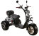 Электроскутер трехколесный CityCoco SkyBoard Trike BR60-3000 PRO FAST