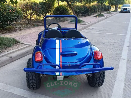 Электромобиль GreenCamel Жук (60V 1500W R8 Дифференциал) Электромобиль GreenCamel Жук (60V 1500W R8 Дифференциал)