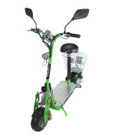 Электросамокат Omaks OM-E05L 800W